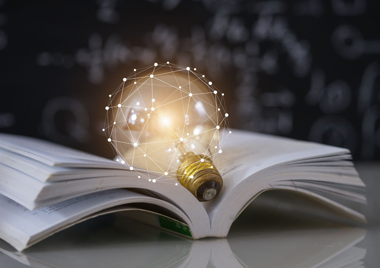 Sonderpaedagogik Bild